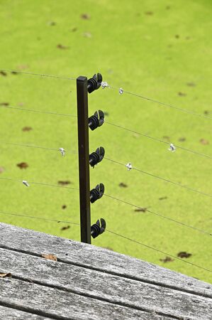 Electric fence with insulators outdoors.の写真素材
