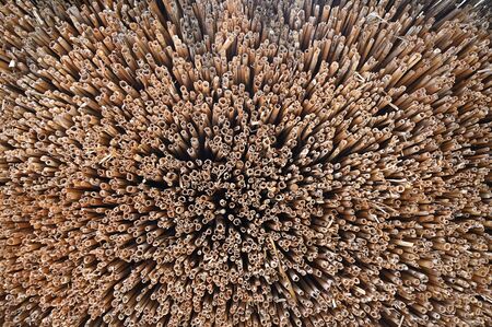 View into the stalks in detail.の写真素材