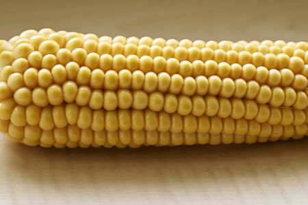 Ripe corn of yellow color.