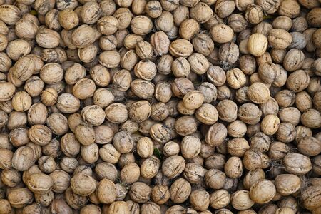 Many walnuts with peel in detail.