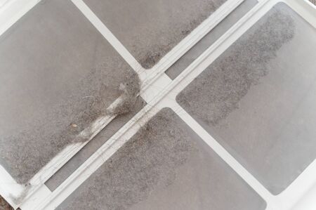 Dust and dirt trapped by clothes dryer filter.の写真素材
