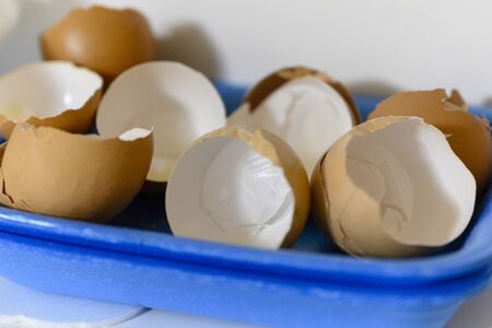 Shells Of Eggs Drying On A Blue Mat.