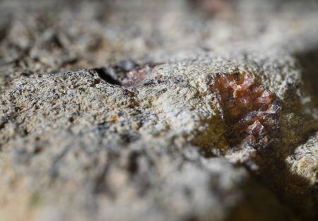 Czech garnet crystals macro view.