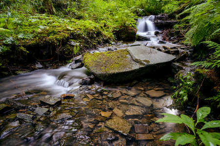 Small waterfall in the forest.