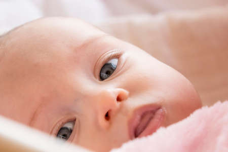Four month old infant Caucasian woman lying in a pink wrap in a crib.の写真素材