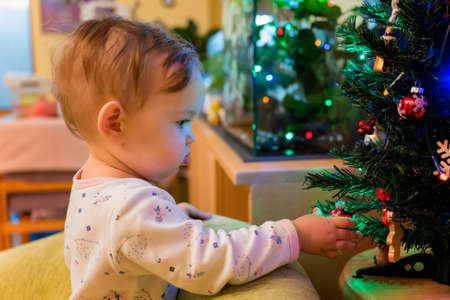 One year old baby girl examines a Christmas ornament on a tree.の写真素材