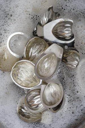 Walnut molds with water and bubbles.の写真素材