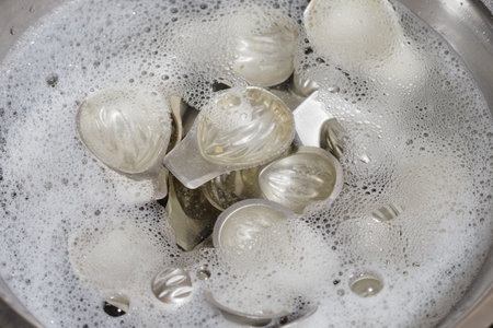 Walnut molds with water and bubbles.の写真素材