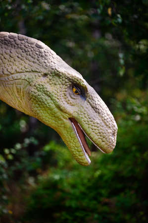 Lufengosaurus - detail of a prehistoric plastic lizard.の写真素材