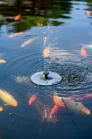 A flock of colorful koi carps by the surface and a solar fountain.の写真素材