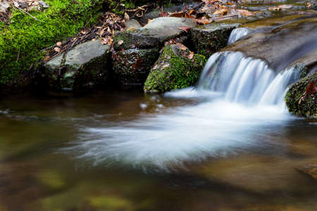 Small on a mountain stream.