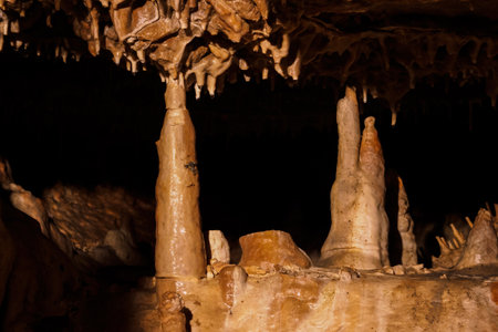 Scallop decorations in the cave.の写真素材