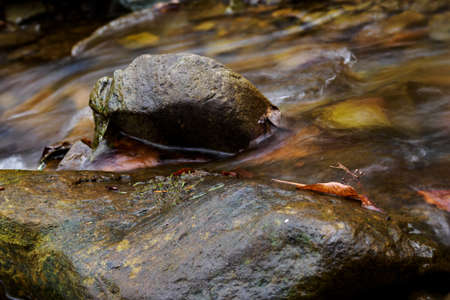Mountain stream flowing between the stones.
