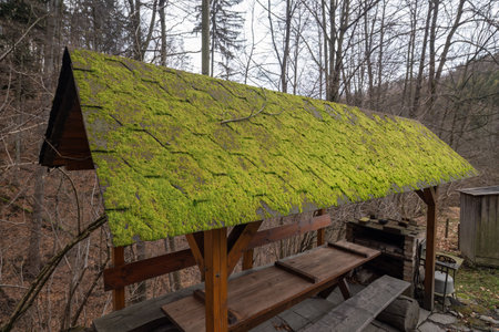 Moss growing on roof surface.の写真素材
