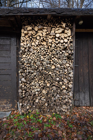 Wood prepared for kindling in a pile.