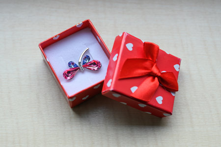 Dragonfly brooch in a red box.