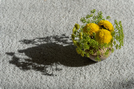 Small ceramic vase with yellow flowers.の写真素材