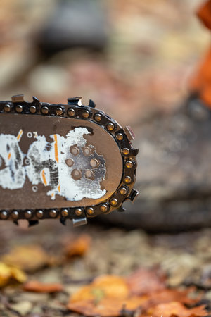 Close up of a chain saw blade on a blurred background of autumn leavesの写真素材