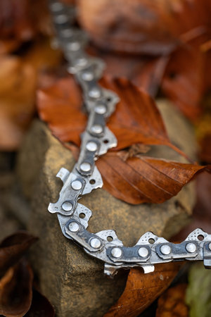 A worn chainsaw chain outdoors in the woods.の写真素材