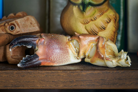 Close-up of a crab on a shelf in a shop.の写真素材