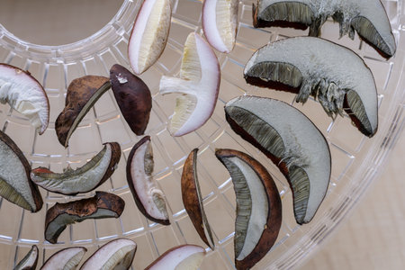 Sliced â€‹â€‹mushrooms in a dryer.
