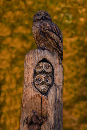 A wooden sculpture of an owl in a nest in the trunk and an owl on top.の写真素材