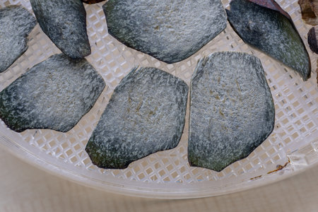Blue mushroom cut into slices in the dryer.