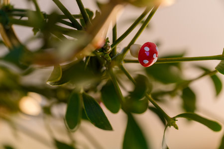 A miniature plastic toadstool on a sprig of mistletoe.の写真素材