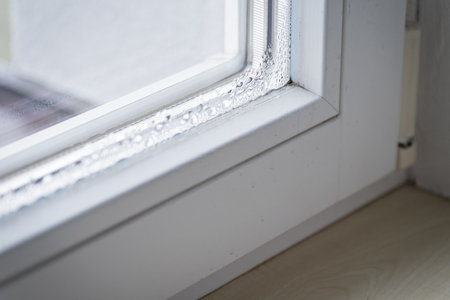 Dew on the inside of the window.