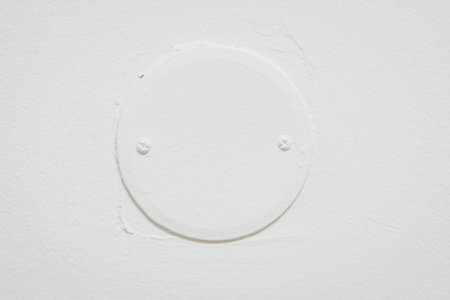 White plastic lid repainted from the box.の写真素材