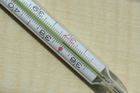 Glass human thermometer with scale.