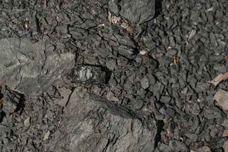 A piece of coal lying outdoors on a stone.