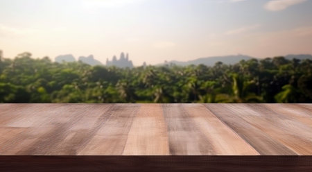 empty wooden table with blurred forest nature background. High quality photoの素材