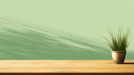 Wooden table with plant pot on light green wall with shadow of sunlight background. High quality photoの素材