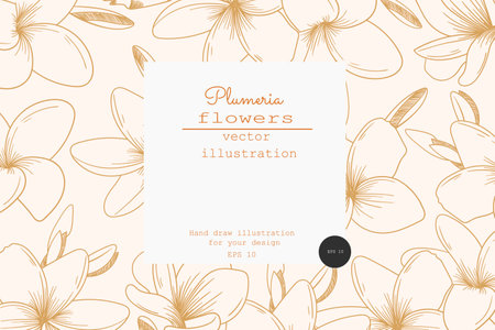Vintage card with plumeria flowers. Label designs. Greeting card. Flowers background for cosmetics packagins. Tropical flowersのイラスト素材
