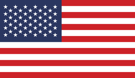 United States flag vector illustration. created EPS 10のイラスト素材