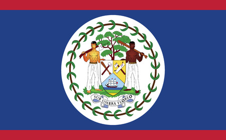 Belize flag vector illustration. のイラスト素材
