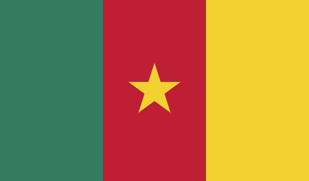 Cameroon flag vector illustration.  のイラスト素材