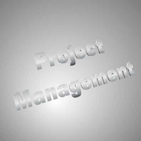3d text for business and website design. With central word Project Managementの写真素材