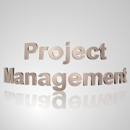 3d text for business and website design. With central word Project Managementの写真素材