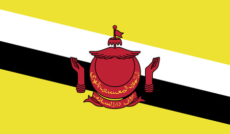 Brunei flag vector illustration. のイラスト素材