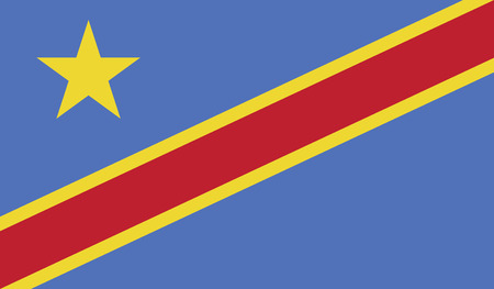 Democratic Republic of the Congo flag vector illustration. のイラスト素材