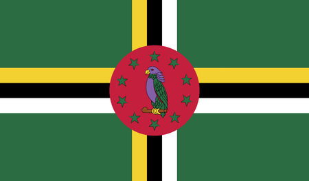 Dominica flag vector illustration. のイラスト素材