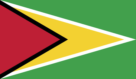 Guyana.vector flag of the independent stateのイラスト素材