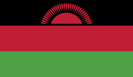 Malawi flag vector illustration. cのイラスト素材
