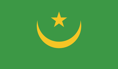 Mauritania  flag vector illustration. のイラスト素材