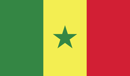 Senegal flag vector illustration. のイラスト素材