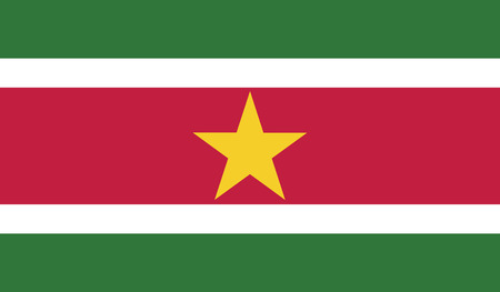 Suriname flag vector illustration.のイラスト素材