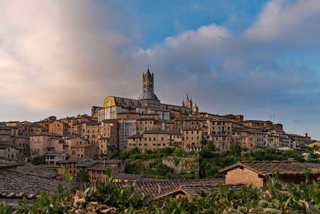 Panoramic view over the old town of Siena, Tuscany Region, Italy