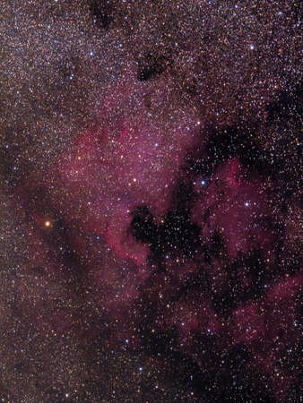 North American Nebula in the Swan Constellationの写真素材